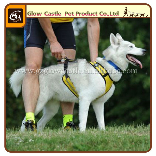 Glow Castle Pet Short Harness (3).jpg