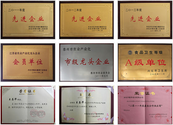 First-class ISO HACCP KOSHER dehydrated vegetables green bell pepper flake