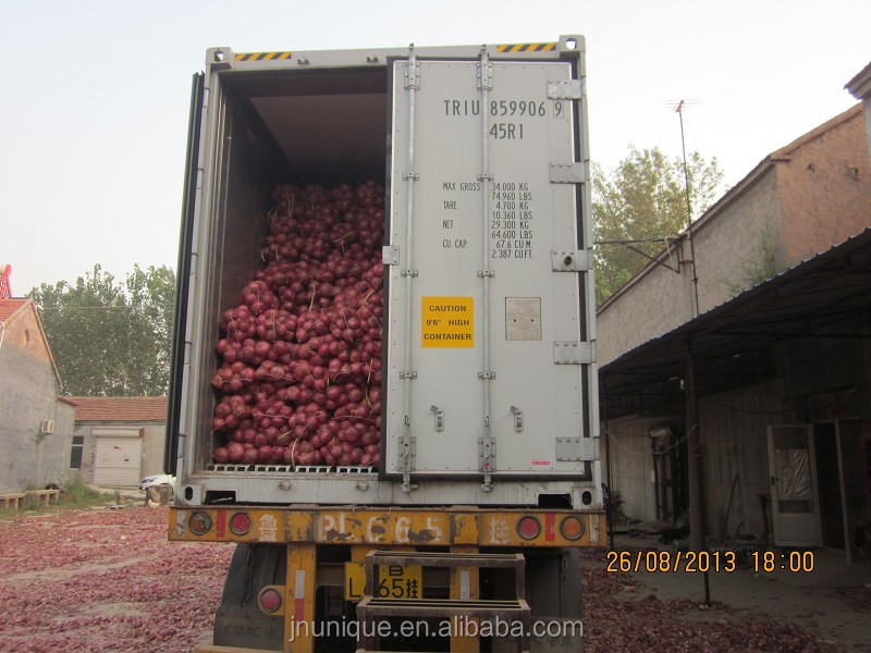 2014 Fresh Red Onion No.1competitive price