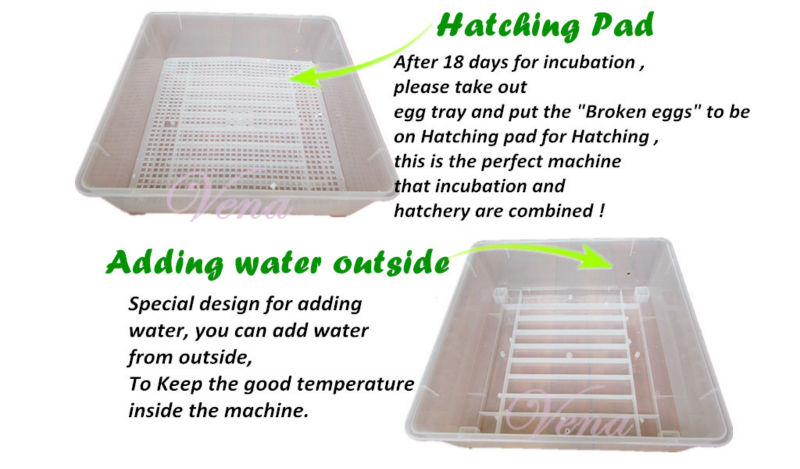 2014 Top Selling 2nd Generation Home Use Small Automatic Artificial Climate Hatcher Transparent Chicken Egg Incubator