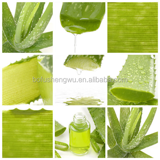 Factory direct supply with competitive price 100% Natural 20% Aloin Aloe Vera Gel Extract