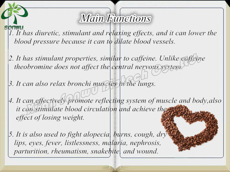 Cocoa extract Theobromine powder