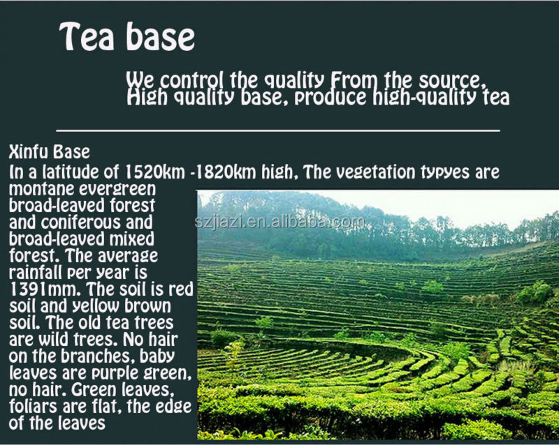 Puer Grapefruit individually wrapped tea bag