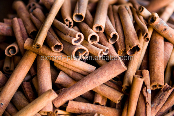 Cinnamon Bark Extract Factory Supply Free Samples