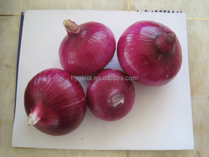 fresh red onion 2014 new crop