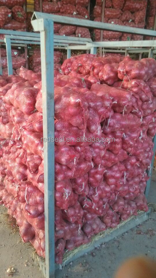Medium Size Fresh Red Onion