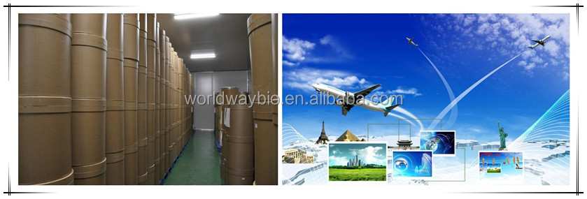 Food grade free sample made in China HACCP KOSHER GMP factory supply 10% piperine black pepper extract
