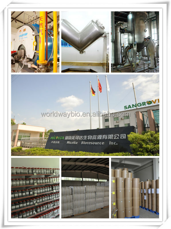 10% theobromine Cocoa Extract 20% theobromine cocoa seed extract