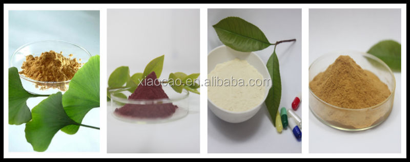 High Quality Cinnamon Bark Extract,Cinnamon Bark Powder Extract Polyphenol
