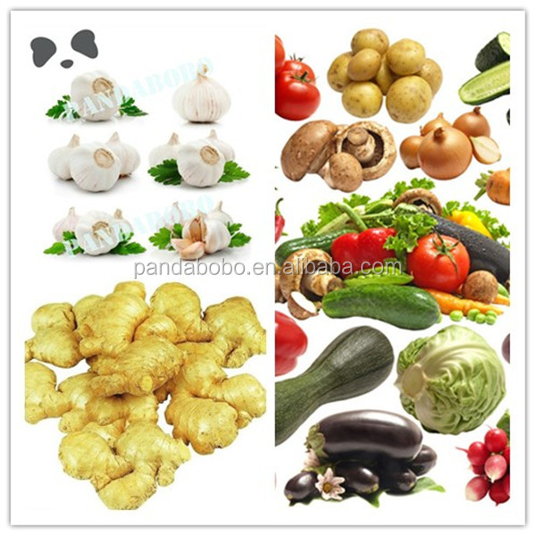 high quality ginger price in china