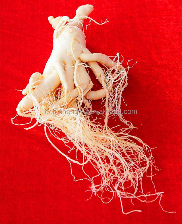 Pure ginseng extract/bulk ginseng extract