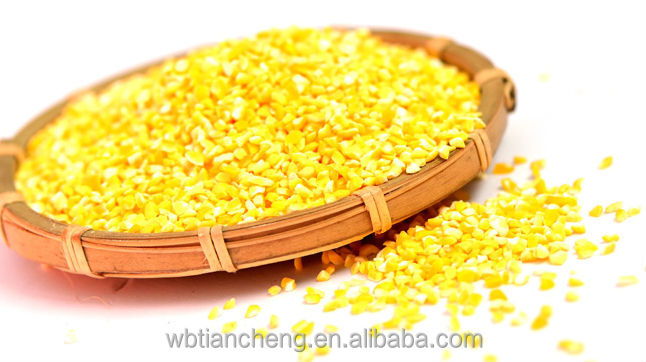 Poultry Feed Yellow Corn Maize Low Prices (WBTC0101)