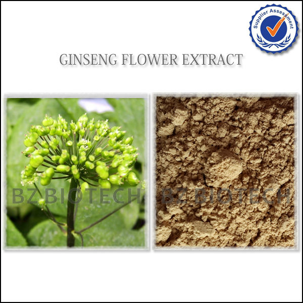 SIBERIAN GINSENG POWDER FOR TEA,WATER SOLUBLE GINSENG POWDER