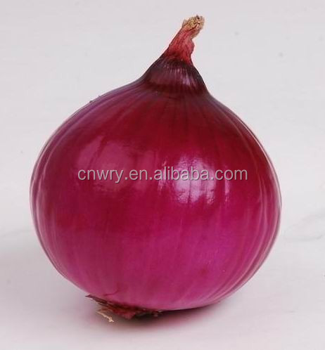 2014 FRESH YELLOW ONIONS FOR DUBAI