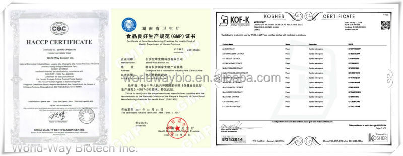 Cocoa extract 10-20%Theobromine cocoa bean powder