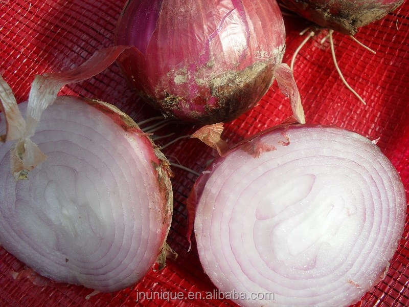 2014 fresh round onion with moderate price