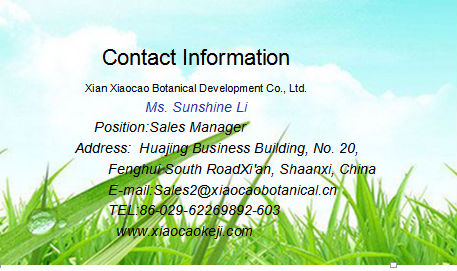 Green Tea Extract Powder,Green Tea Extract Capsules,Green Tea Extract 98%