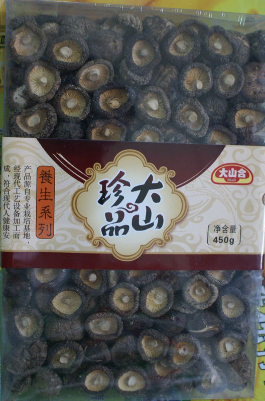 mushroom in drum