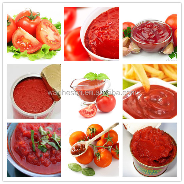 glass jar tomato ketchup / plastic bottle tomato paste / tomato sauce in drum