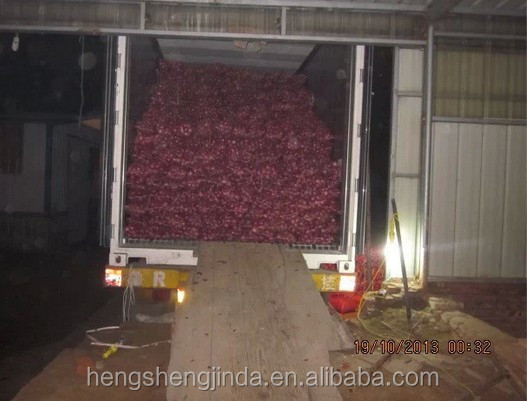 2014 new crop red onion