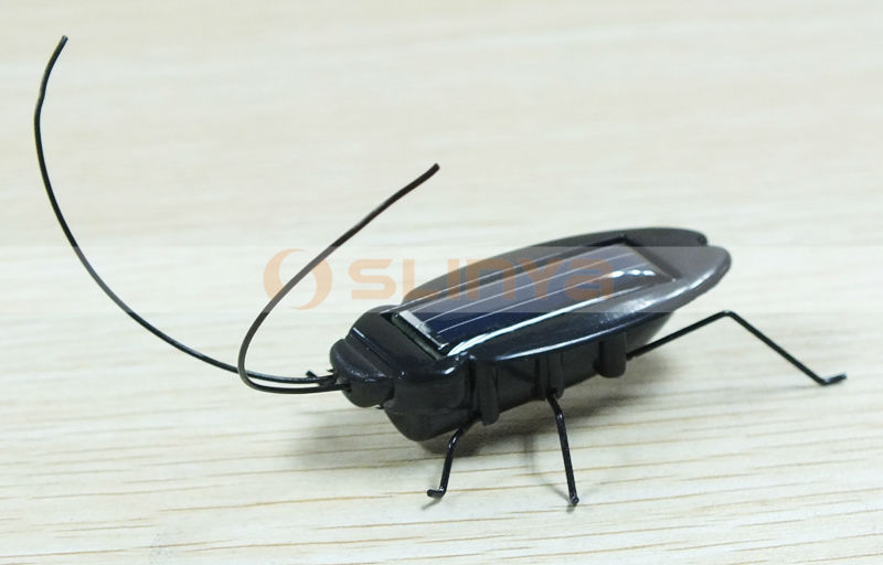 solar cockroach 8015 131216 (3).JPG