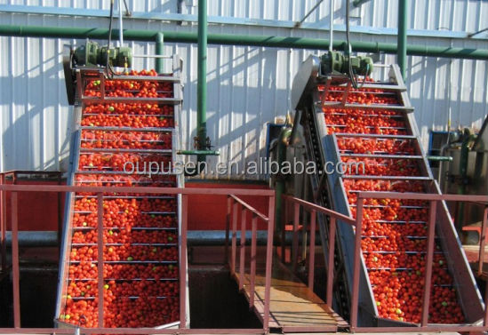36-38% Tomato Paste in Drum