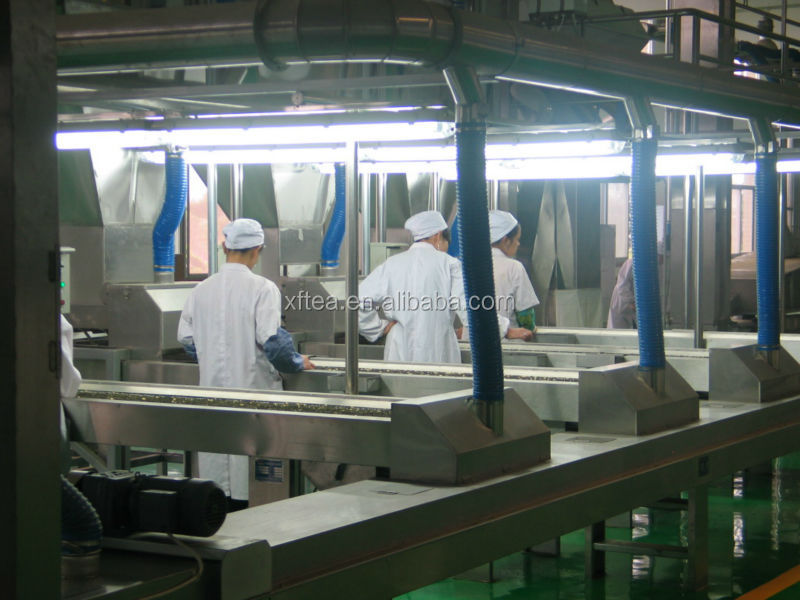 green tea brand names biluochun/best green tea/china green tea