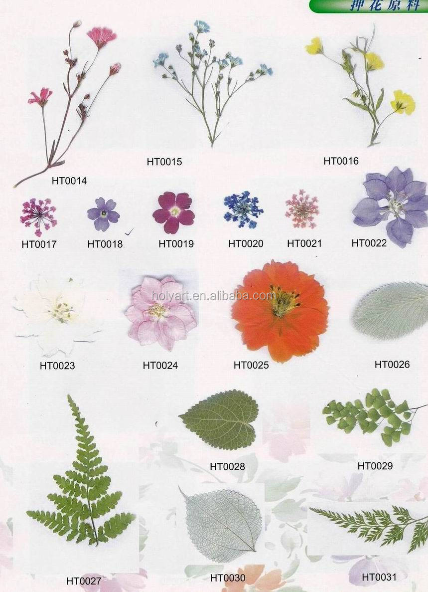 catalogue (8).jpg