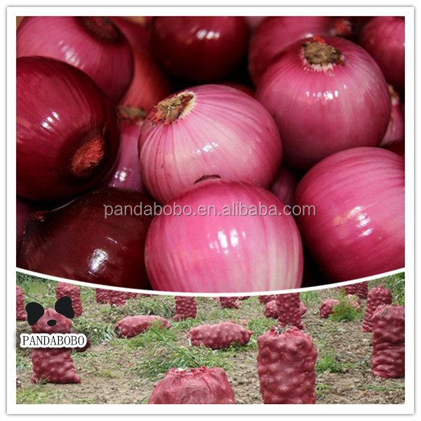 2014 new red onion in china in wholesale price for malaysia export