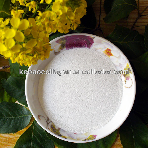 Tilapia fish scale Collagen Peptide Powder