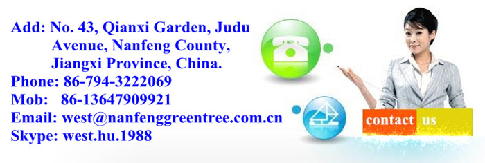 Pampas original mandarin fruits with own orchard and processing factory