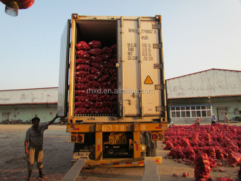 2014 new crop 60mm size red onion