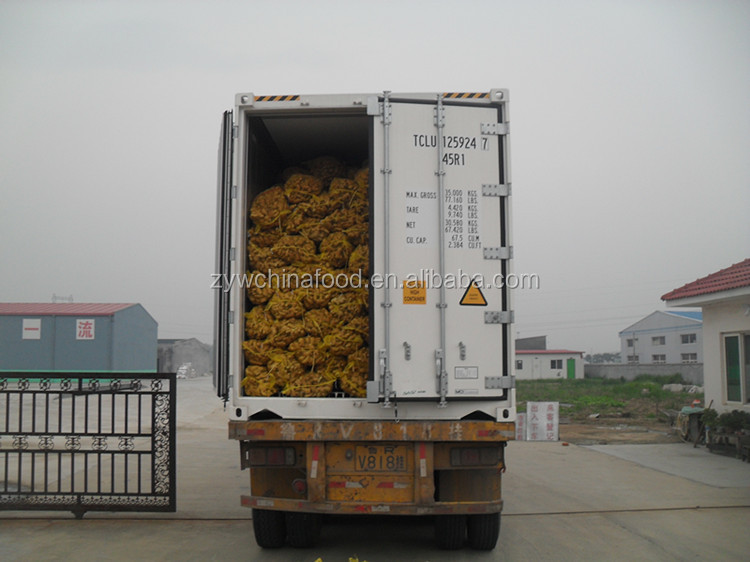2014 High Quality New Crop Chinese Fresh Ginger Prices Best Exporter in Shandong of China