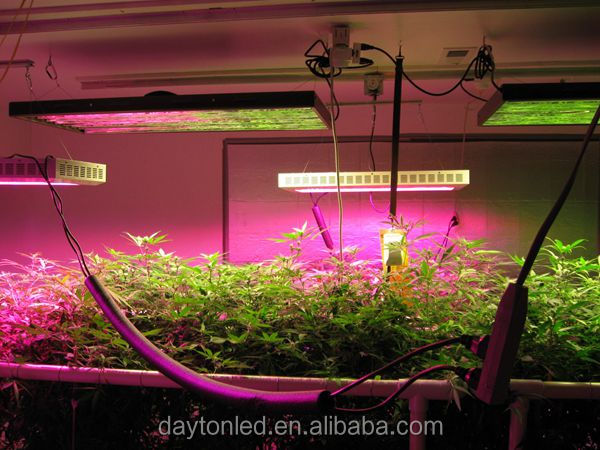 光の完全なスペクトルを育てる350ワットled水耕栽培用システム医療の植物問屋・仕入れ・卸・卸売り