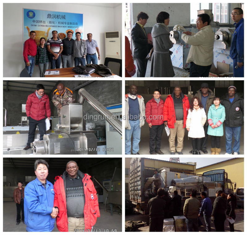 Dog feed processing line