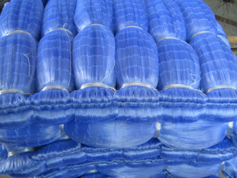 Sardine fishing net