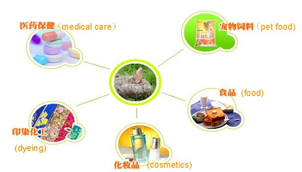Refined Processing Type and Instant,instant ready noodles knots Style konjac extract root