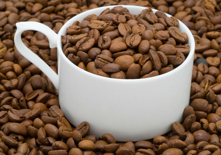 factory in store cocoa extract theobromine 10% 20% cocoa alkaloid