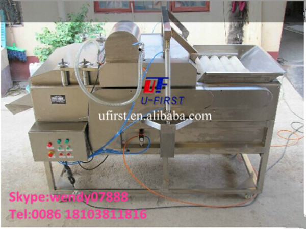Factory price double brush type vegetable and fruit washing machine