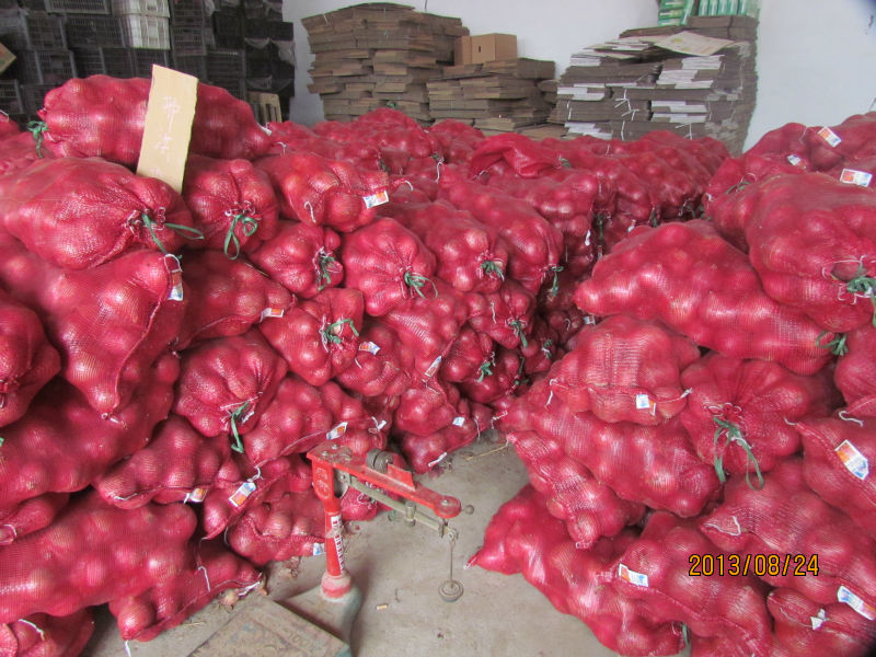 2014 Chinese red onion mesh bags