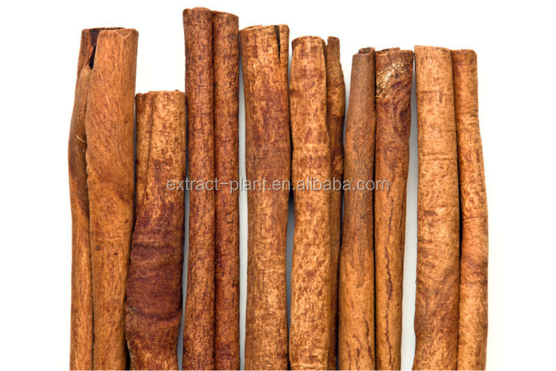 Cinnamon extract factory supply with high quality
