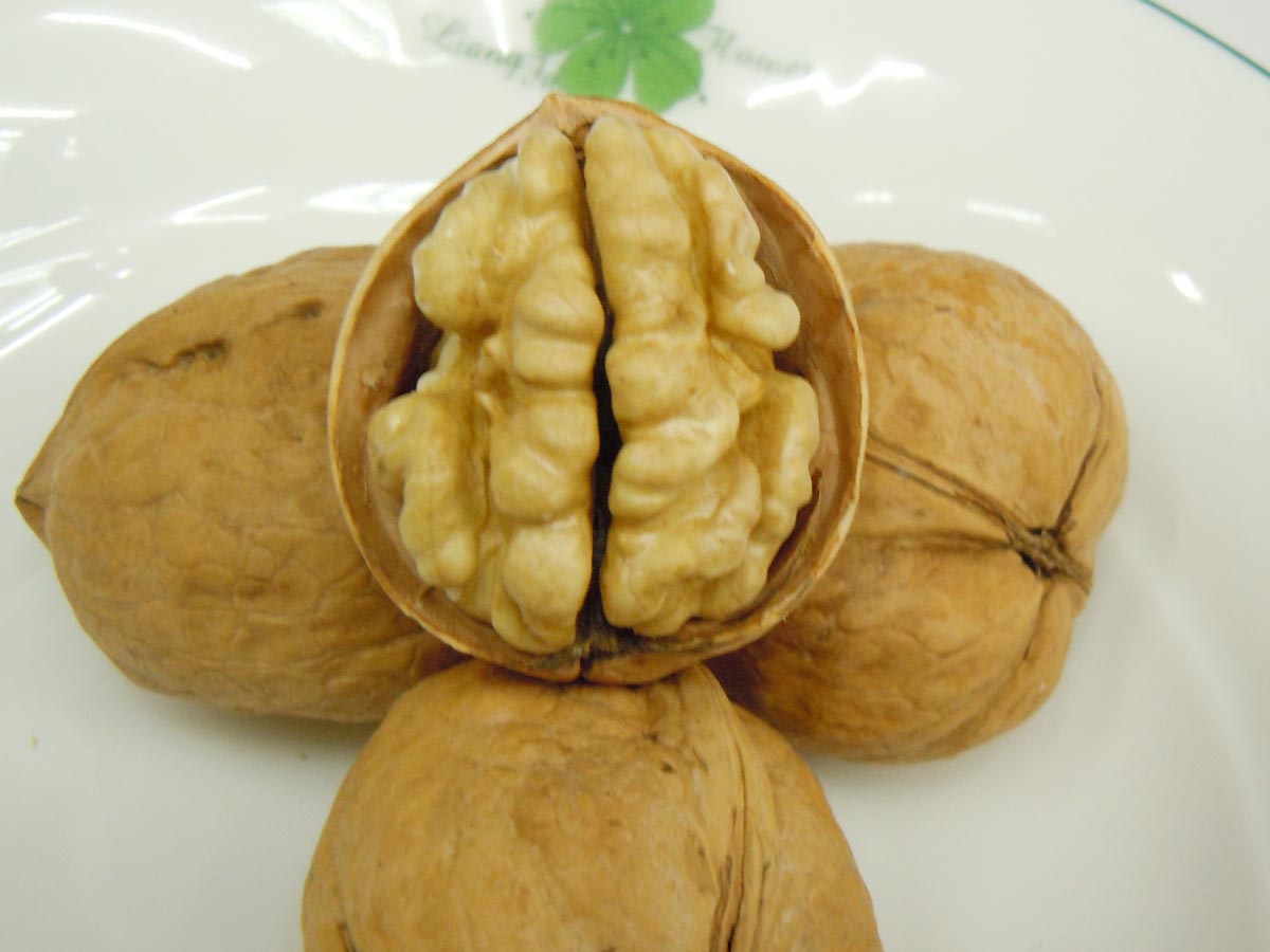 walnut kernels whole