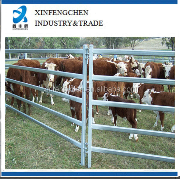 CattlePanel_5BarCattleRail.jpg