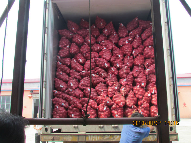 2014 new corp fresh onion fresh shallot onion