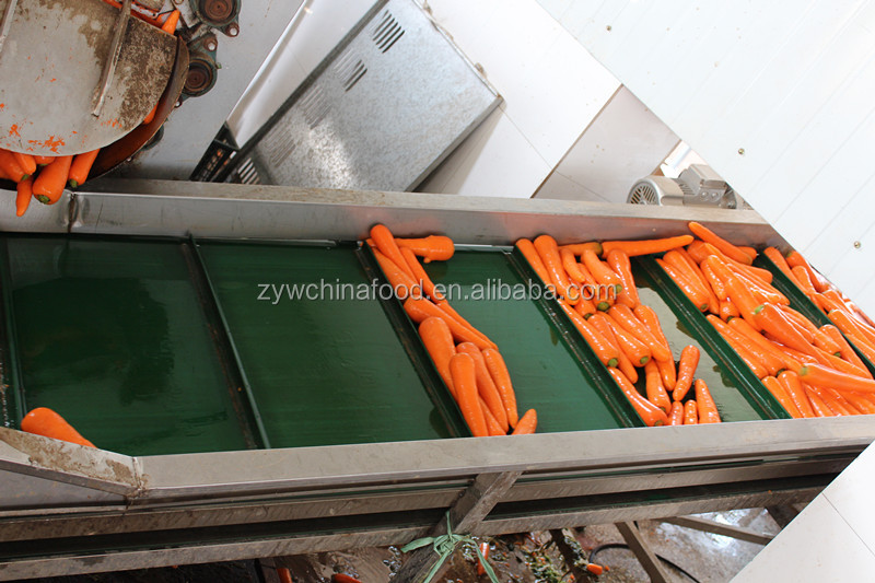 2014 New Corp Fresh Bulk Carrot
