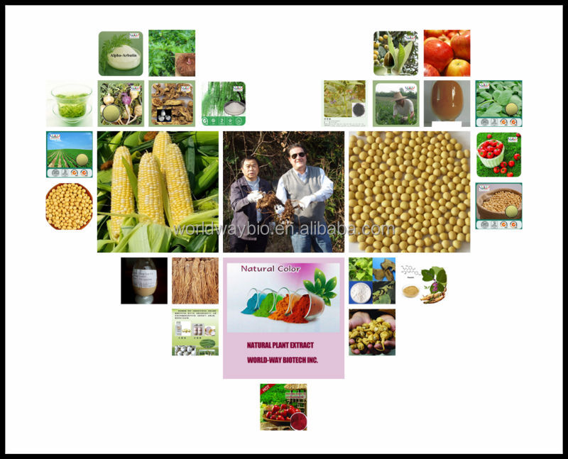 free sample GMP manufacturer tea polyphenol catechin EGCG green tea powder