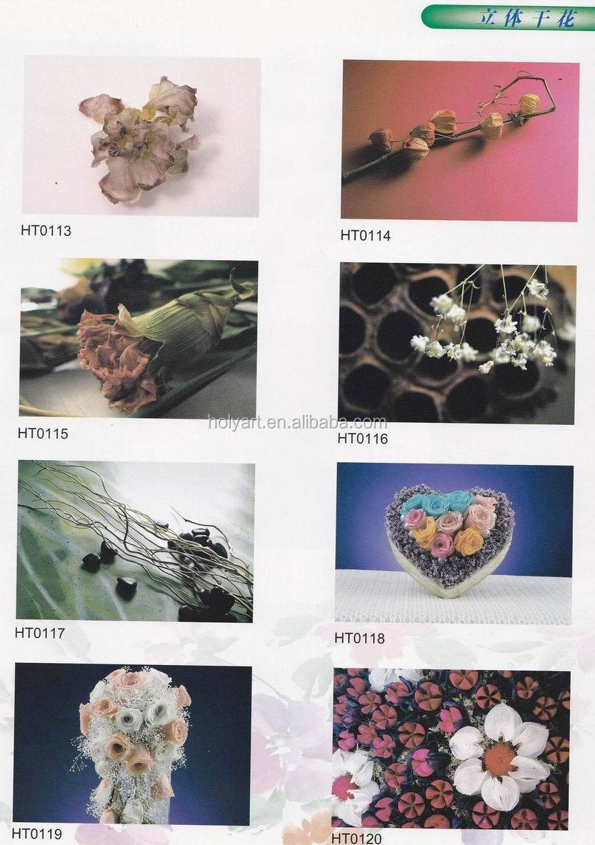 catalogue (12).jpg