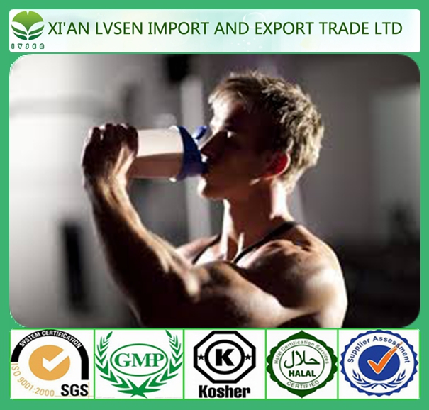 Hot Selling Optimum Nutrition Whey Protein Powder