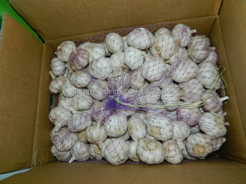 2014 New Red Garlic in China, Purple Garlic Supplier/Exporter