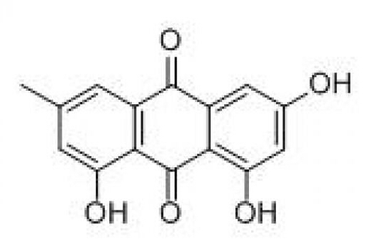 aloe vera extract emodin /high quality emodin / emodin p.e.